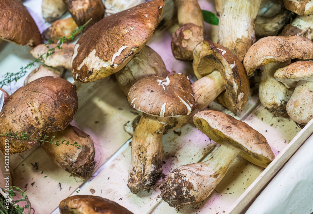 Wild edible porcini mushroom in the vegetable stand - close up Wild edible porcini mushroom in the vegetable stand - close up