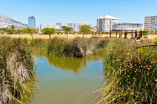 Green Point Park with lake river Cape Town, South Africa.