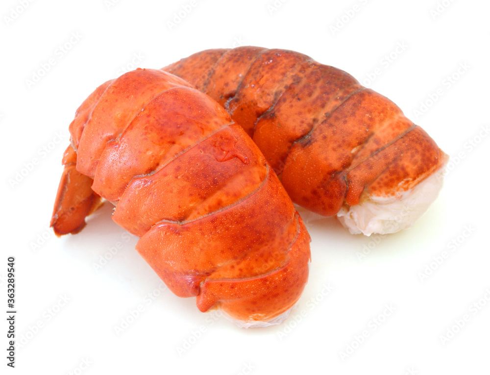 red lobster tail