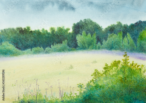 Fotografia summer meadow after rain