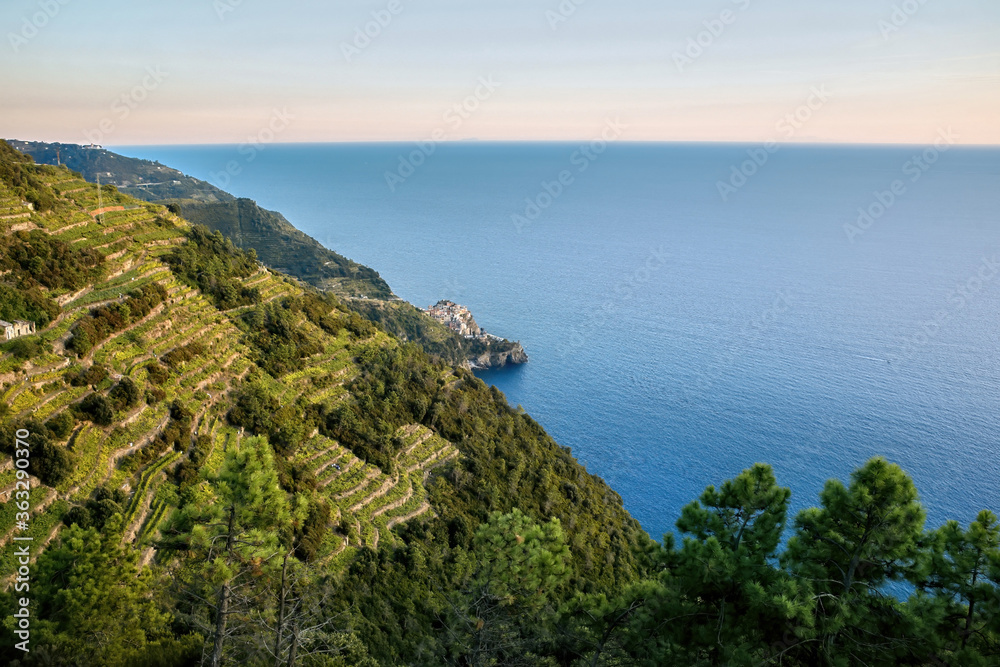 Mediterranean coast, Cinque Terre, Italy