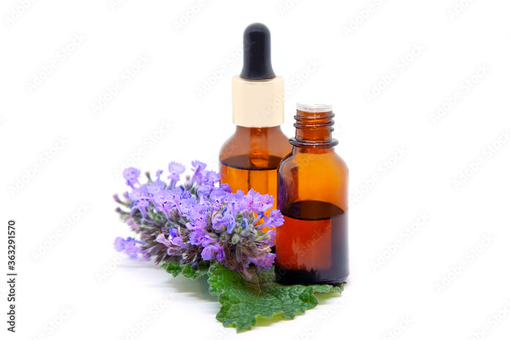 Faassen catnip essential oil and extract in a bottles with leaf and flowers on  white