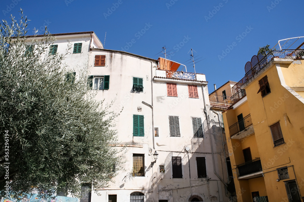 Aged buildings and olive tree in Sanremo, Italy