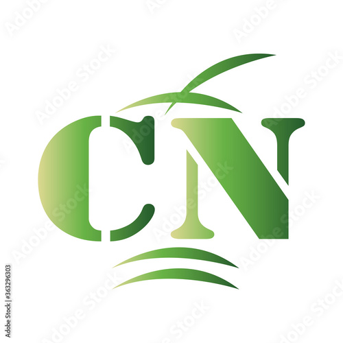 font cn color icon vector illustration design
