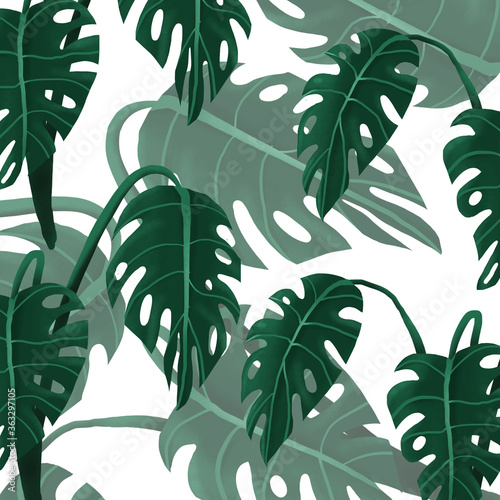 monstera palm leaves pattern illustration for your summer background