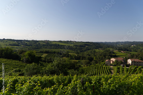 View of the hills of Prosecco vineyards in the Conegliano countryside