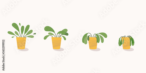 Stages of withering, a wilted plant in a pot, abandoned houseplant without watering and care. Potted plant dying. Vector illustration photo