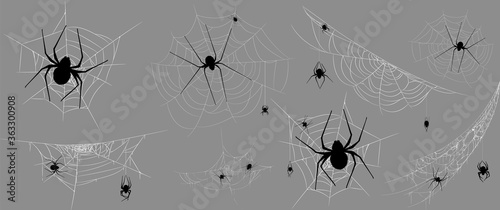 Collection of Spider, cobweb, isolated on black, transparent background. Spiderweb for Halloween design. Spider web elements,spooky, scary, horror halloween decor. Hand drawn silhouette, vector illust