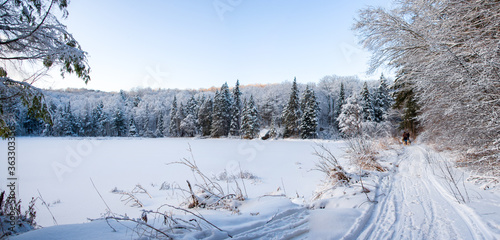 Ontario Winter time