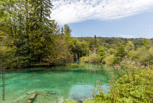 Fototapeta Naklejka Na Ścianę i Meble -  Plitvice Lakes National Park, which is a UNESCO World Heritage site