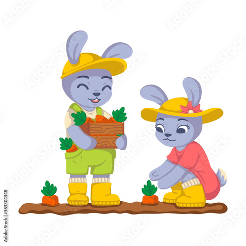 Rabbits are harvesting carrots in the garden. Bunny work in the kailyard. Farming, gardening. Vector children illustration isolated on white background.