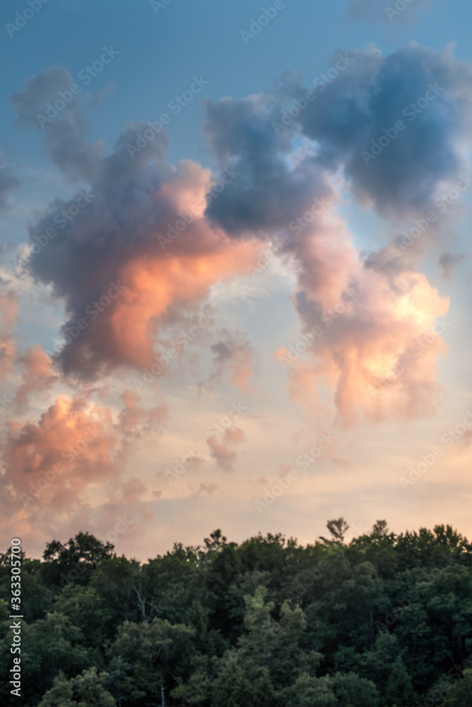 Summer sky and clouds in the woods