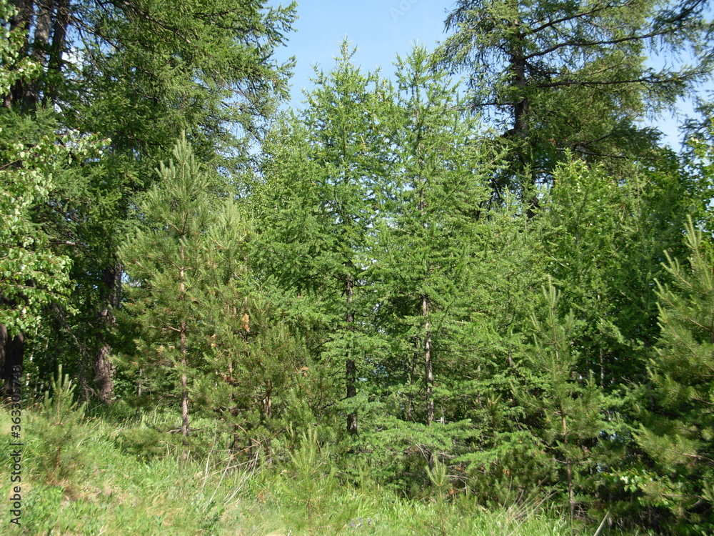 ural ural