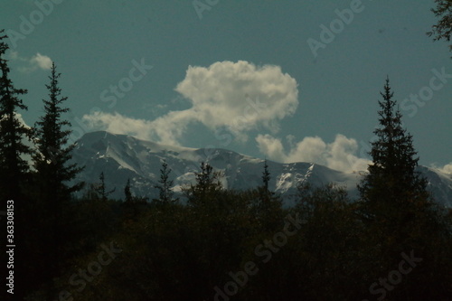 mountains and forest scene