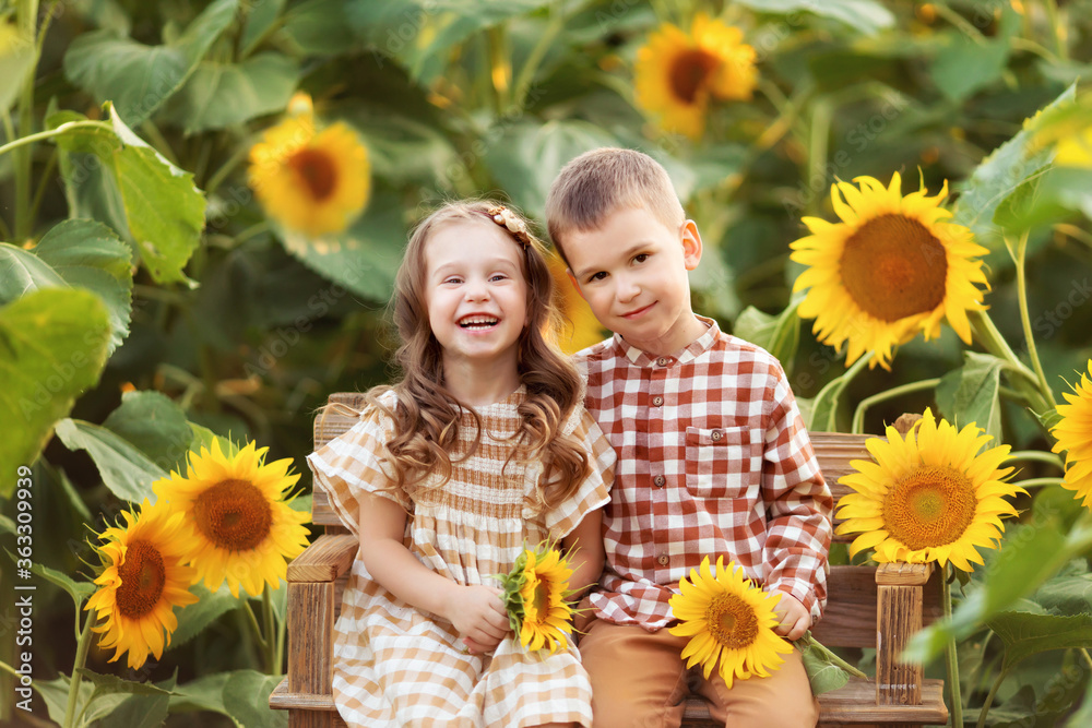 happy little girl and boy have fun among blooming sunflowers under the sunset rays of the sun. Brother and sister are sitting on a bench happy little girl and boy have fun among blooming sunflowers under the sunset rays of the sun. Brother and sister are sitting on a bench