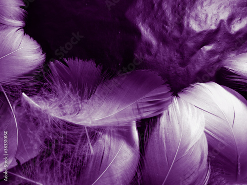 Fototapeta Naklejka Na Ścianę i Meble -  Beautiful abstract white and purple feathers on black background and soft white feather texture on white pattern and purple background, feather pink background, purple banners