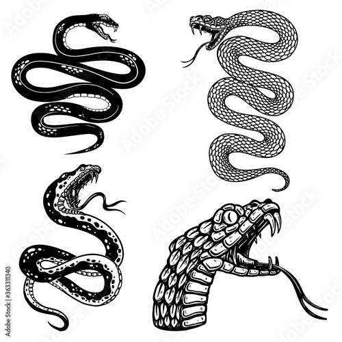 Set of illustrations of poisonous snake in engraving style. Design element for logo, label, sign, poster, t shirt. Vector illustration