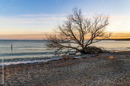 Early morning lakefront sunrise photo