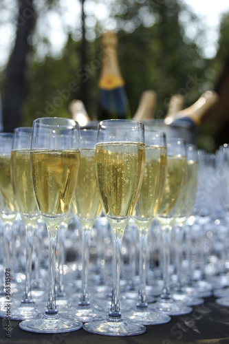 Catering. Drink. Glasses of champagne  in nature, summer. Background image, copy space