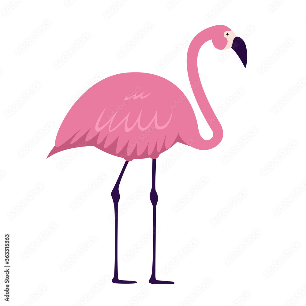 Cartoon Pink Flamingo on white background. Vector Illustration