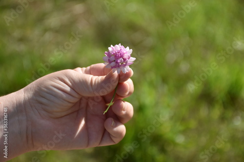 Flower in hand