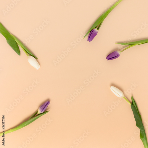 Round frame made of tulip flowers on a beige background. Spring festive concept with place for text.