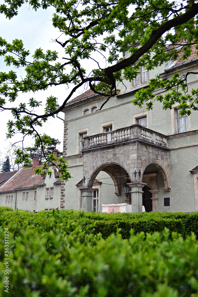 Naklejka premium Palace in the park in Ukraine