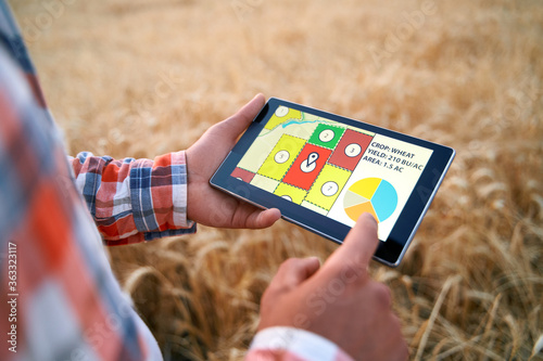 Precision farming. Farmer holds tablet using online data management software with maps, charts at wheat field. Agronomist working with touch computer screen to control and analyse agriculture business