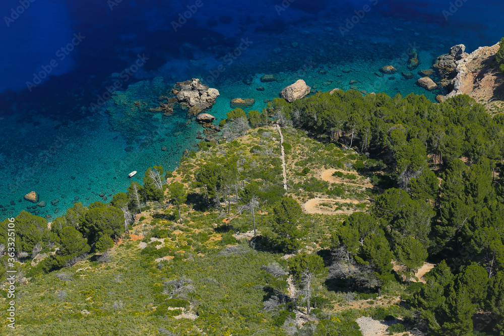 coral reef coral reef