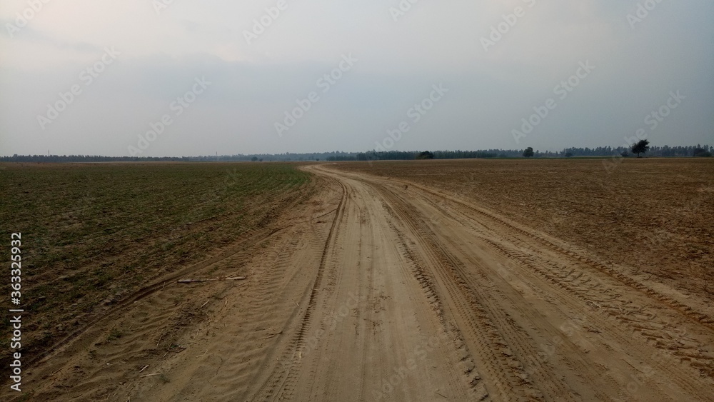 Beautiful view of the rural field Beautiful view of the rural field