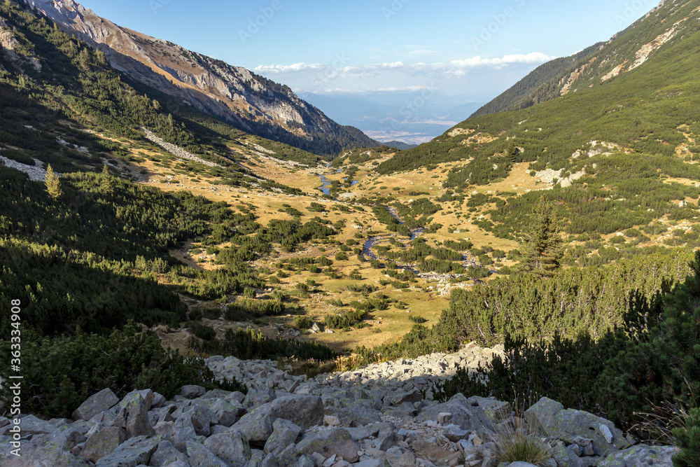 Fototapeta premium landscape around Muratovo lake at Pirin Mountain