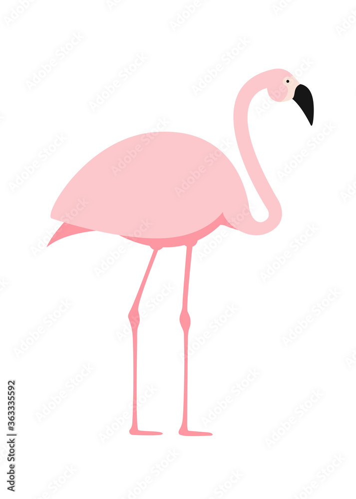 Cartoon Pink Flamingo on white background. Vector Illustration