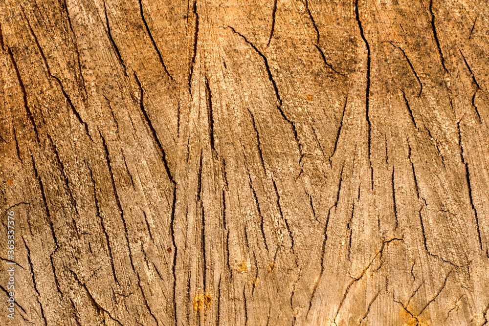 Firewood and wooden background photo. Texture of the piled wood. Firewood and wooden background photo. Texture of the piled wood.