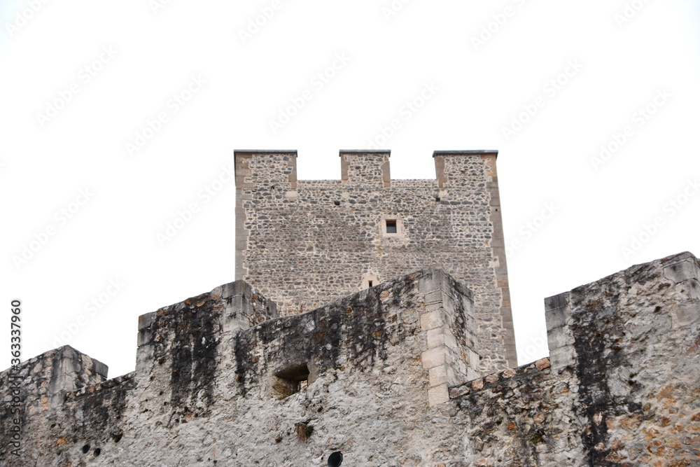 Castle in Slovenia isolated o white.