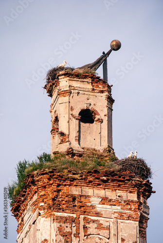 Church of St. Onufry 1825, Selets, Mstsislaw District and Storks in Nests photo