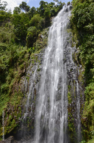 Fototapeta Naklejka Na Ścianę i Meble -  waterfall in the middle of the jungle