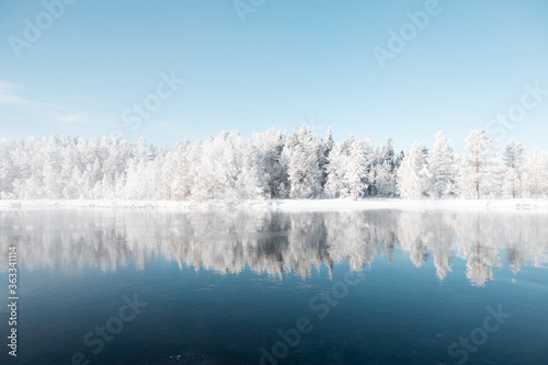 Snowy trees refelection photo