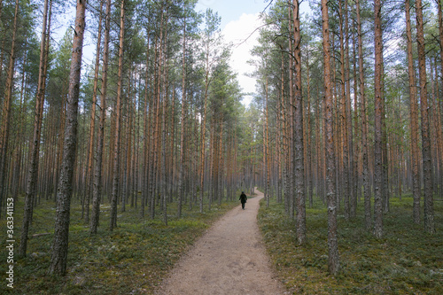 Journey through Finland © MikkoEemeli