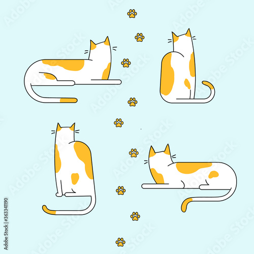 Four cute cats