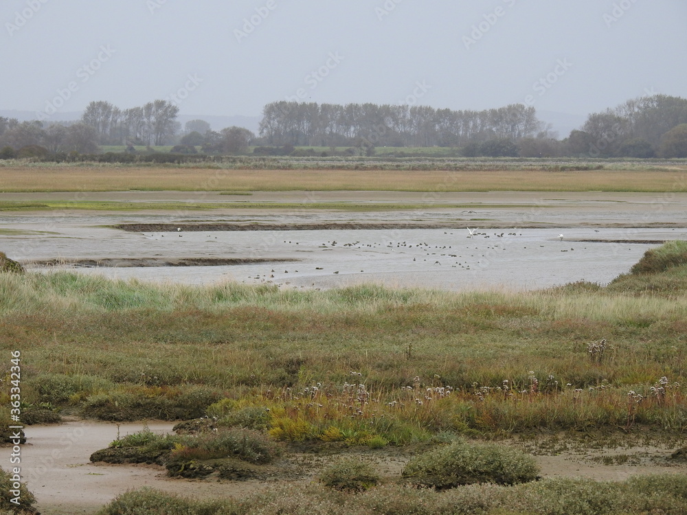 Fototapeta premium View of the lagoon