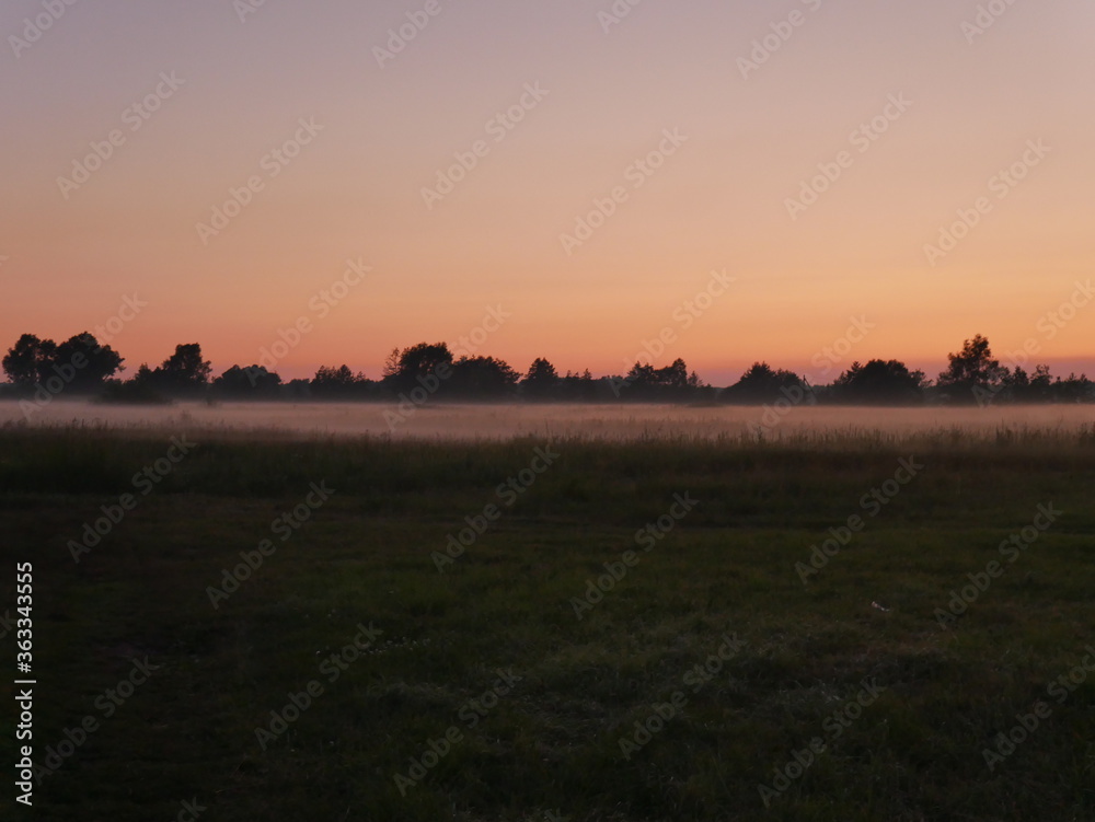 Fototapeta premium fog in the field in the evening in the village