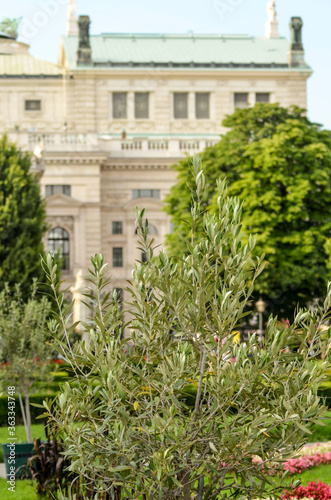Wallpaper Mural A beautiful view of Vienna city at Austria. Torontodigital.ca