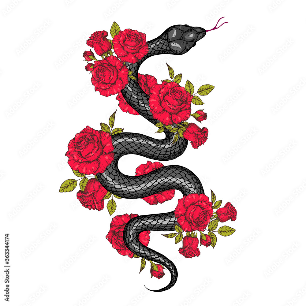 Snake and roses illustration. Vector illustration. Hand drawn