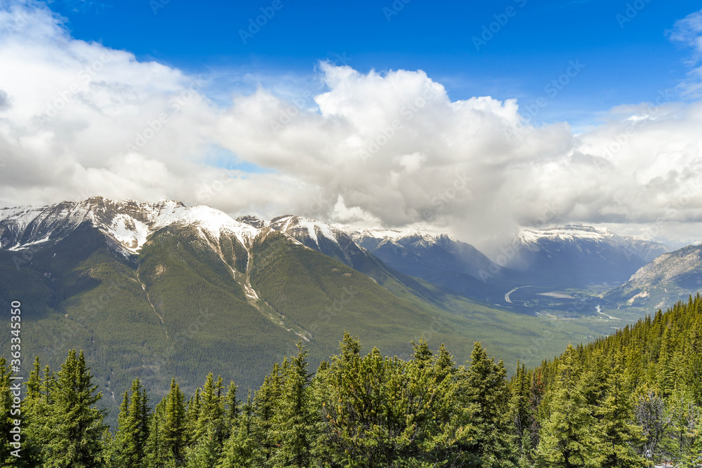 Landscape view over trees of snow capped mountains in Banff