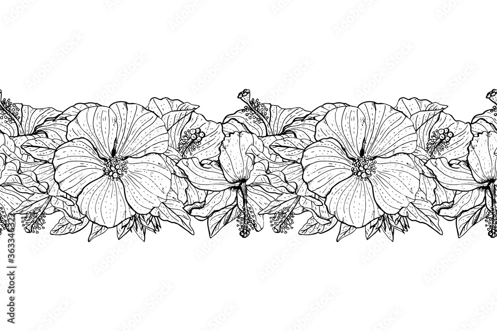 Fototapeta premium Hand drawn monochrome hibiscus flowers seamless brushe. Floral endless border. Isolated on white background. Vector illustration.