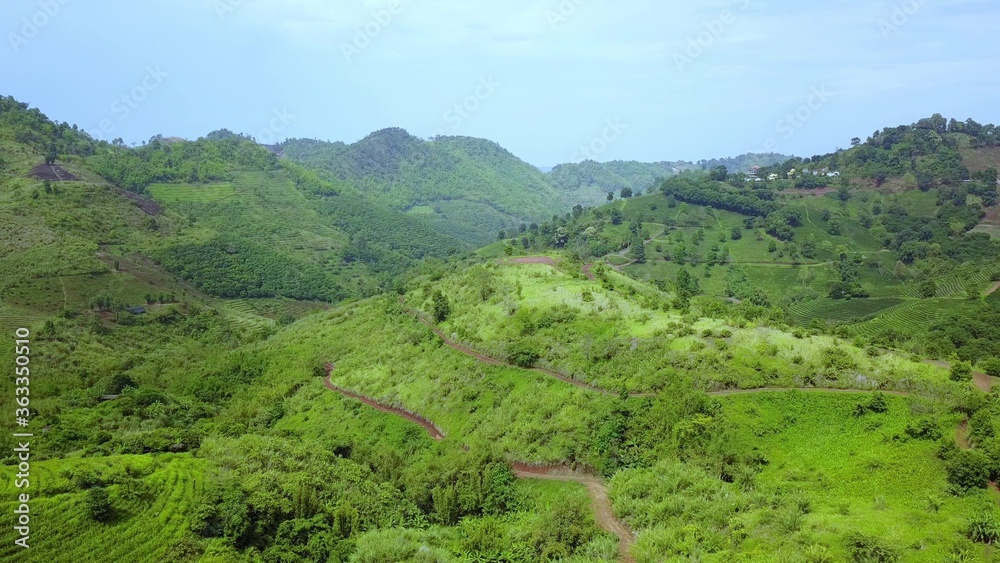 Aerial view of landscape with tea plantations. Scenic valley with green hills and tea terraces - panorama 4k Aerial view of landscape with tea plantations. Scenic valley with green hills and tea terraces - panorama 4k