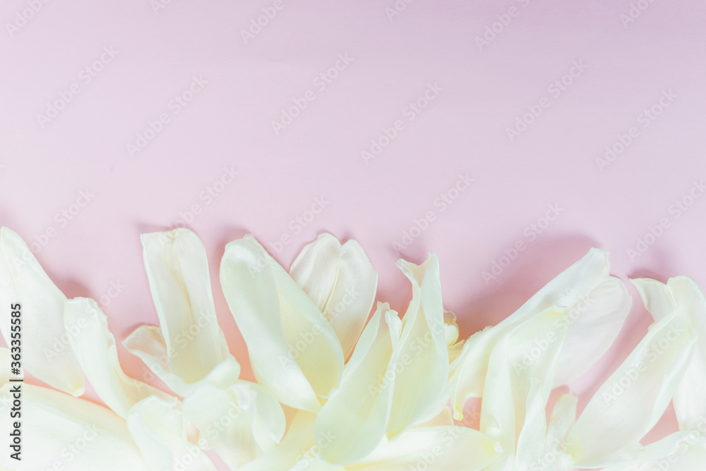 The petals are on the pink background. The Delicate petals are scattered with copy space