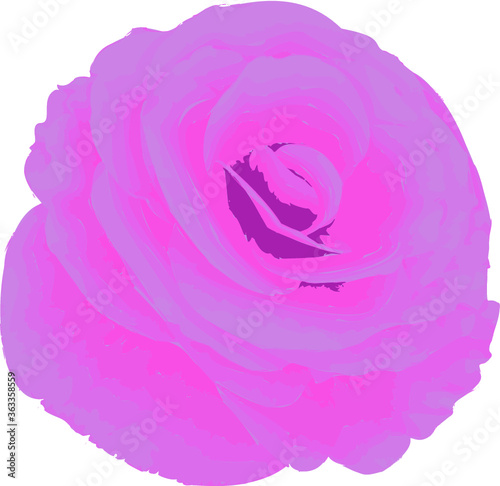 Pink rose flower vector from foto isolated