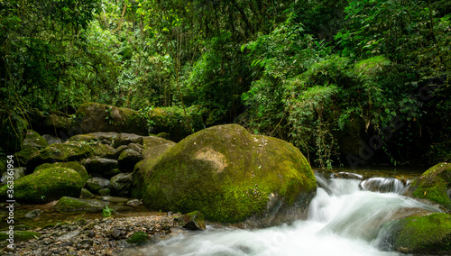 Fototapeta Naklejka Na Ścianę i Meble -  small waterfall in the brazilian rainforest