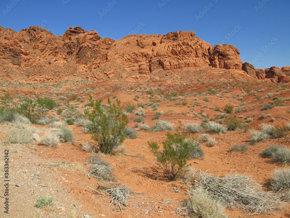 Fototapeta premium Landscape with red sandstone formations, Valley of Fire State Park, Nevada, USA